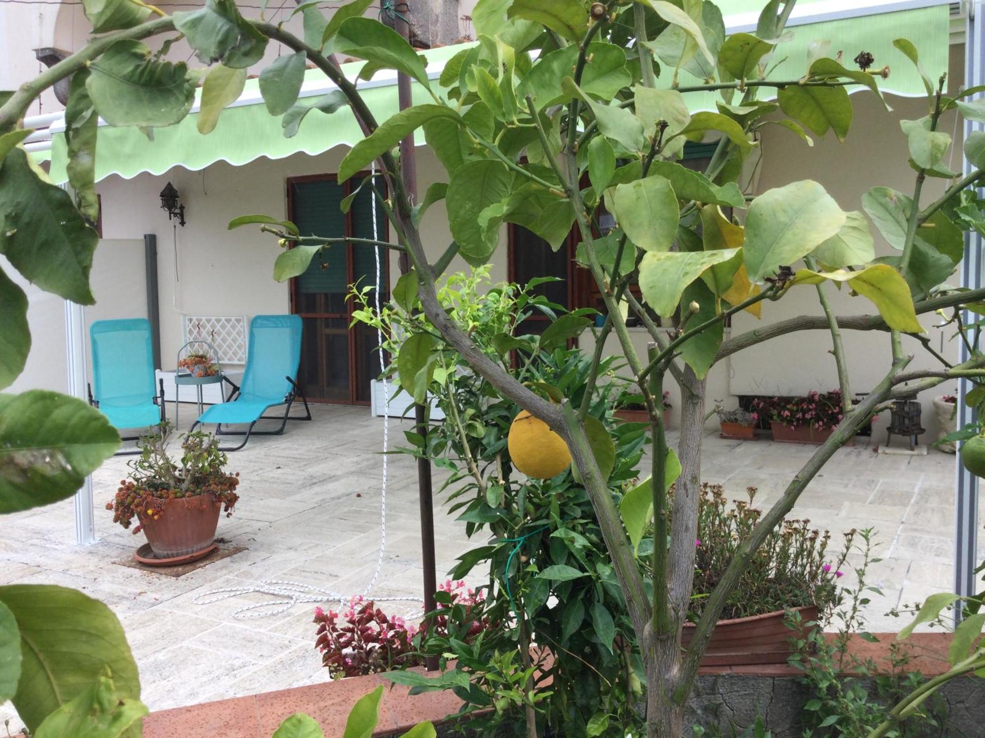 Oplontis' Garden - Holiday Apartment Near Pompeii Torre Annunziata Exterior photo